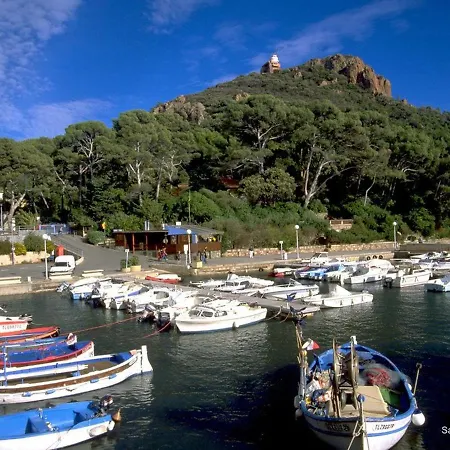 Апартаменты Mezzanine Avec Jardin Privatif, Parking Et Clim - Saint-raphael - Fr-1-226a-81 *