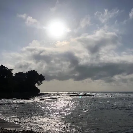 Mezzanine Avec Jardin Privatif, Parking Et Clim - Saint-raphael - Fr-1-226a-81